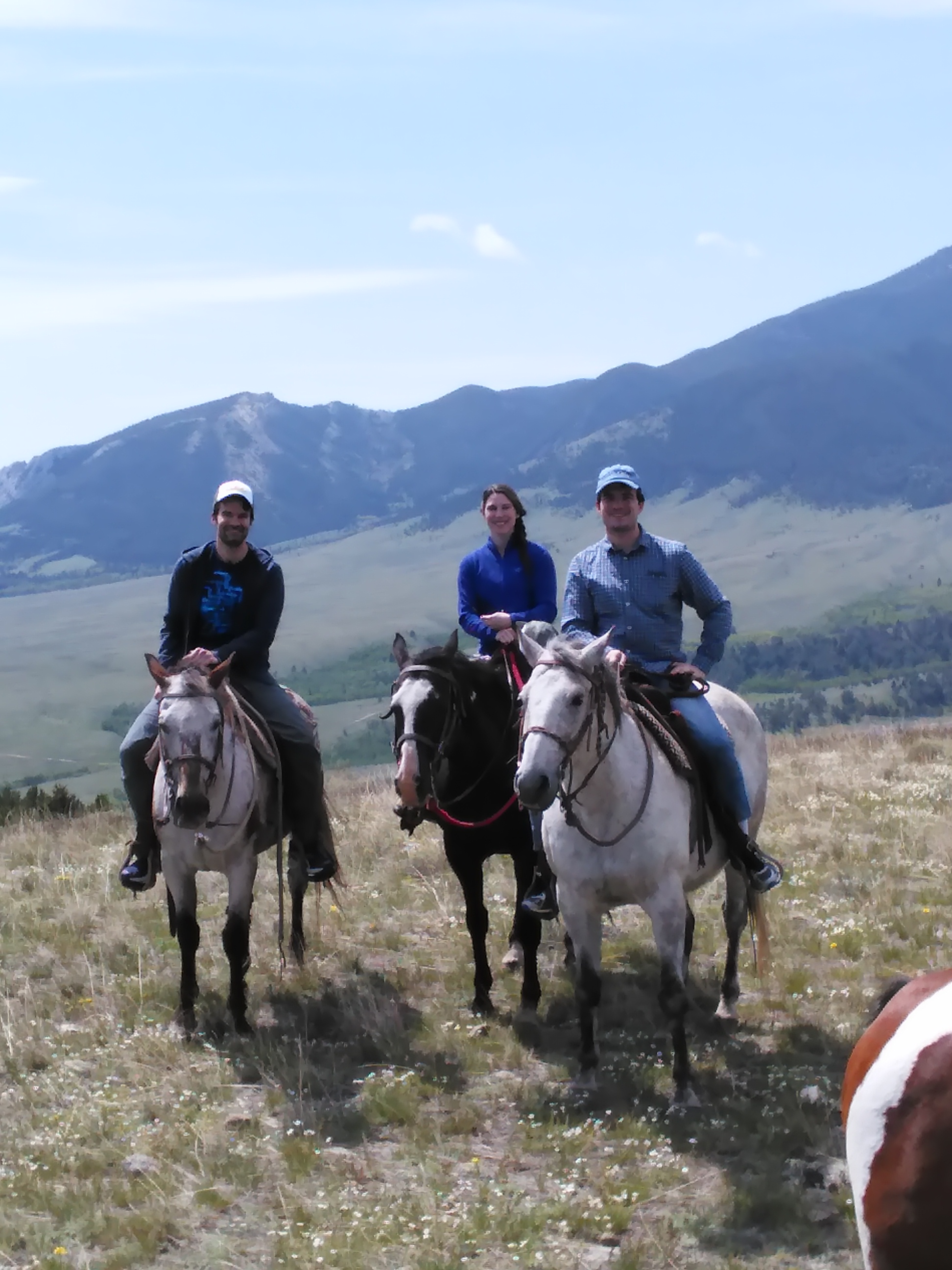 Pictures Red Lodge Horseback Rides