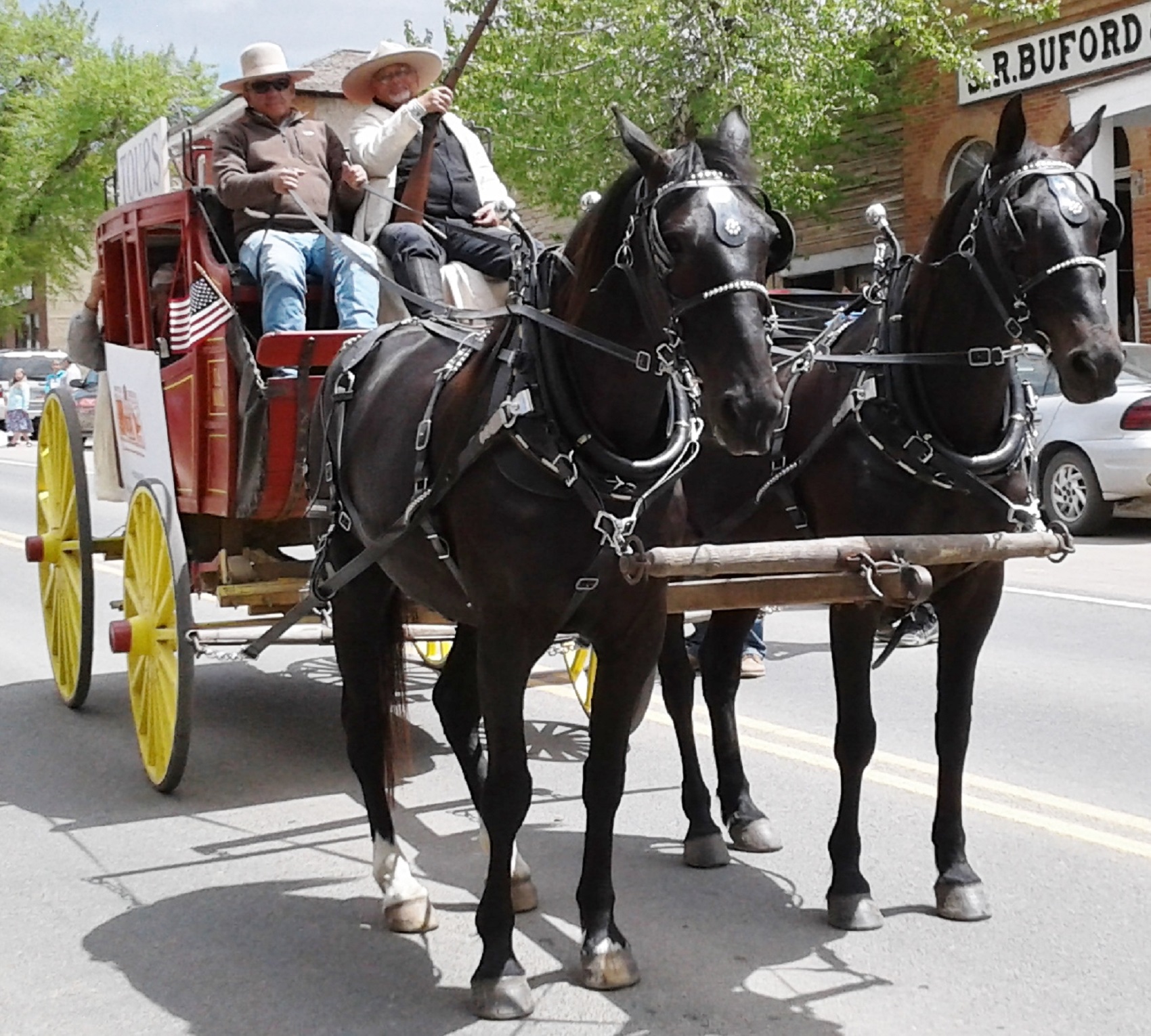 Red Lodge, Billings and now Virginia City for Horseback Riding with Elk