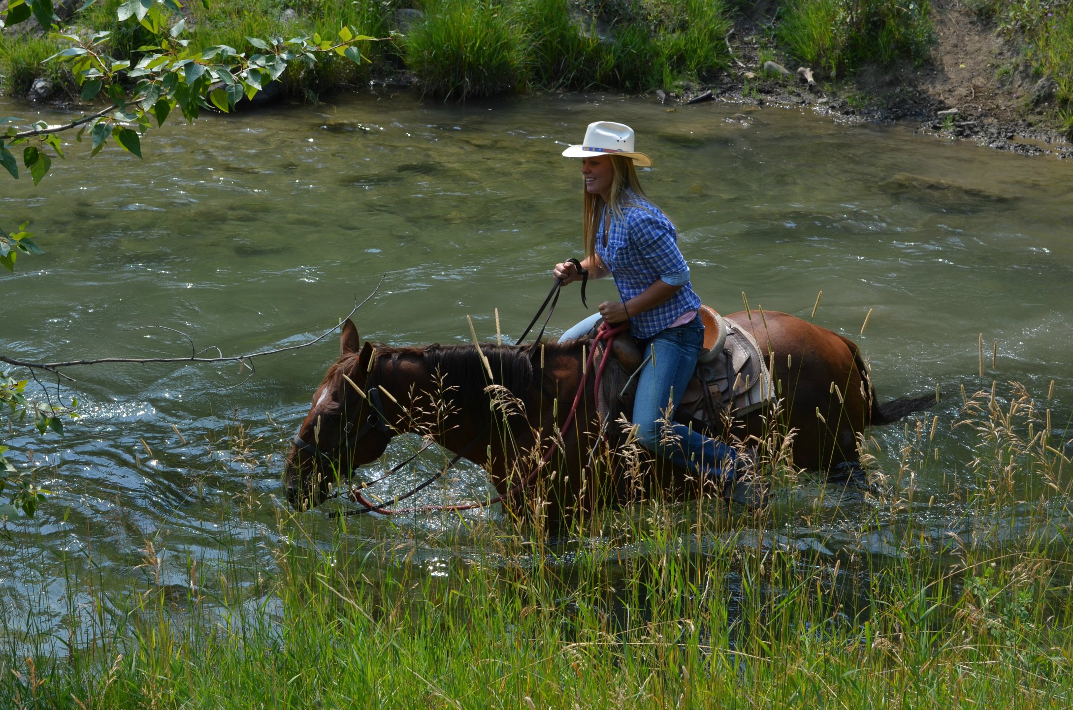Pictures Red Lodge Horseback Rides